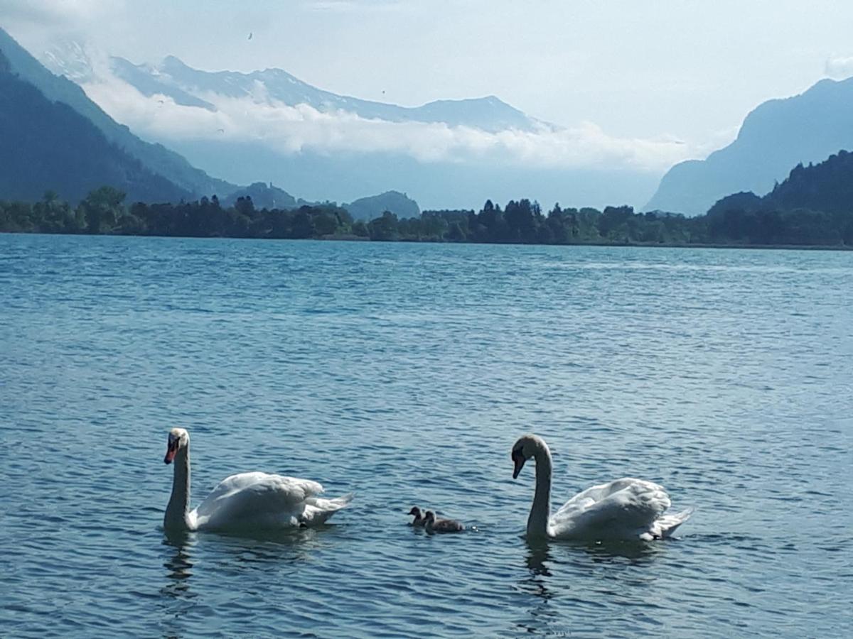 Berner Oberland Am Thunersee Darligen Exterior photo