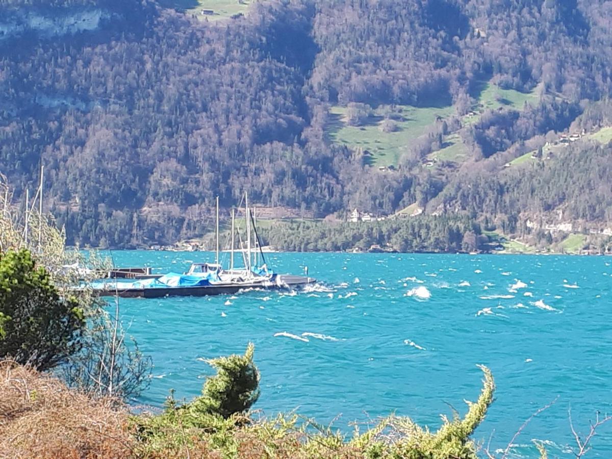 Berner Oberland Am Thunersee Darligen Exterior photo